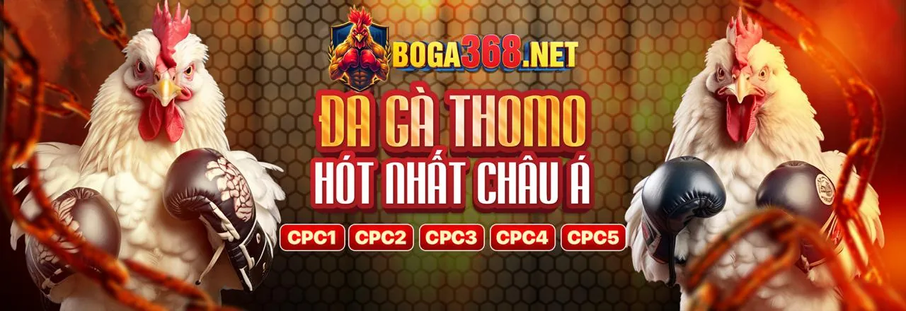 Sòng bạc bin88 đăng nhập với giao diện sang trọng
